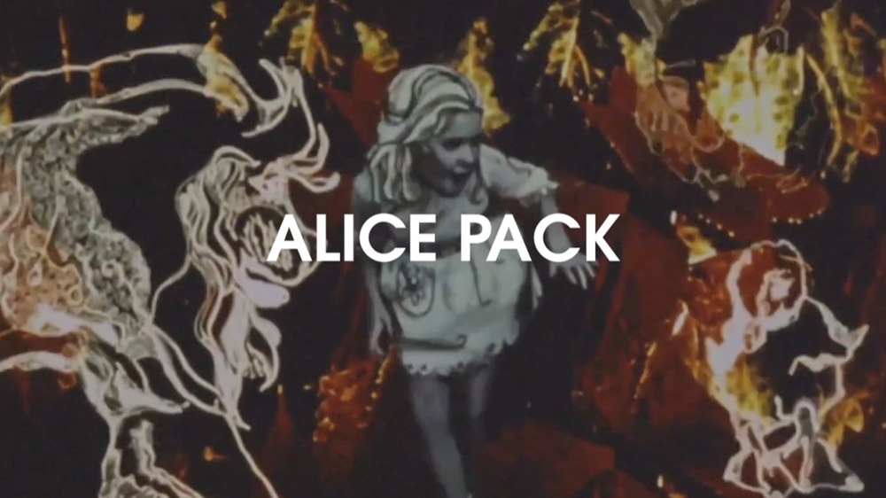 Visibox Curious Alice Pack